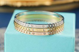 Picture of Tiffany Bracelet _SKUTiffanybracelet06cly6915256